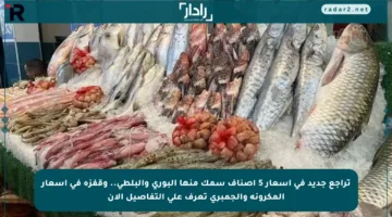 تراجع جديد في أسعار 5 أصناف سمك منها البوري والبلطي.. وقفزة في أسعار المكرونة والجمبري تعرف على التفاصيل الآن